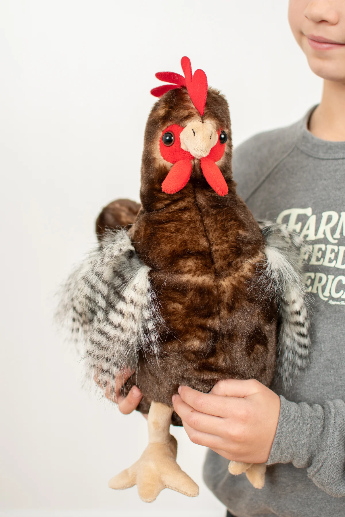 Brown Chicken Stuffed Animal Plush - 12" - Image 5