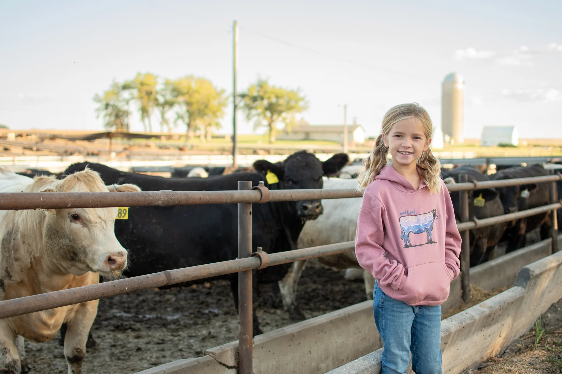 Retro 'Eat Beef' Mauve Toddler/Youth Hoodie - Image 3